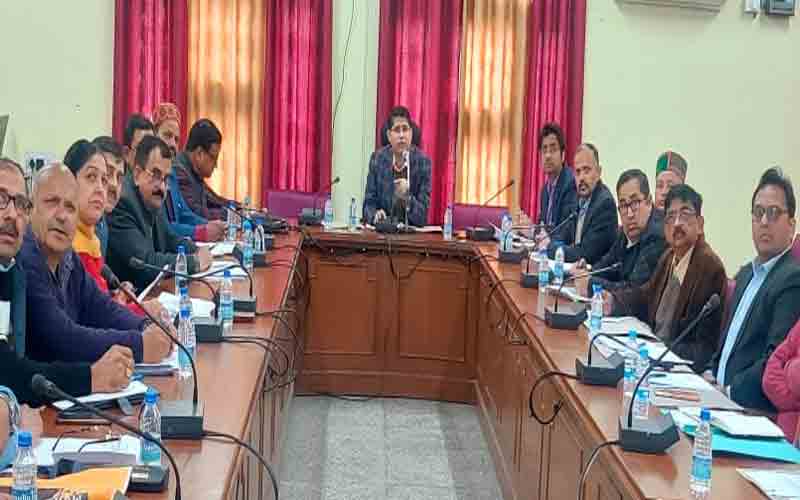 भूमि तक्सीम के लंबित अधिकतम मामलों को 20 जनवरी तक निपटाएं राजस्व अधिकारी- उपायुक्त