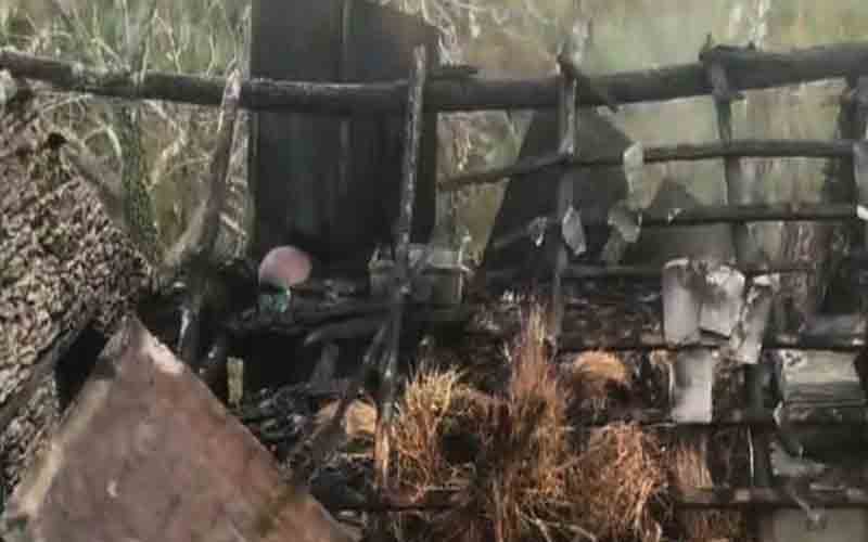 आग की भेंट चढ़ी गौशाला, जिंदा जला बछड़ा