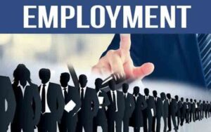 EMPLOYMENT.jpg