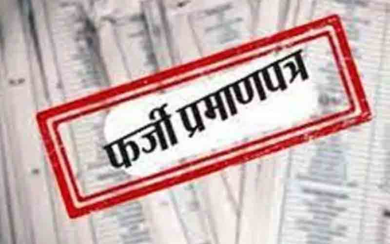 हिमाचल में बाहरी राज्यों के 100 युवाओं ने डाक विभाग में फेक प्रमाण पत्र के सहारे पाई नौकरी