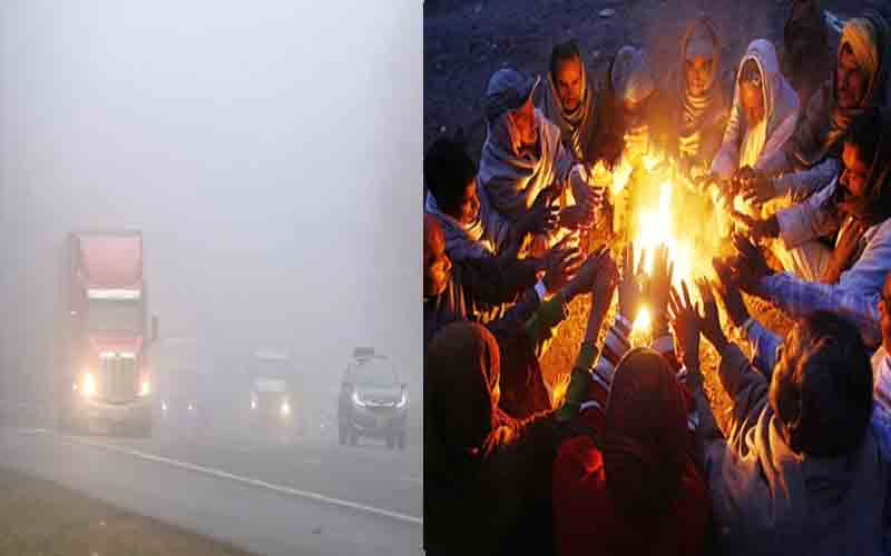 शीतलहर की चपेट में हिमाचल के मैदानी इलाके, 2 दिन घने कोहरे की संभावना