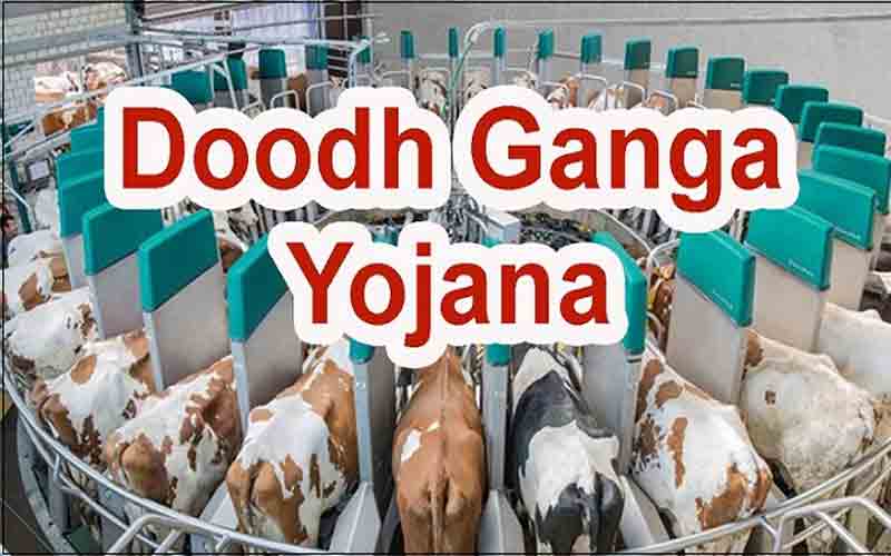 वर्तमान सरकार ने पशु पालकों के लिए आरंभ की 500 करोड़ रुपए की दूध गंगा योजना