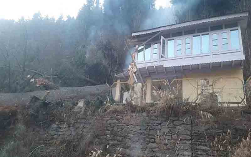 वन विभाग के रेस्ट हाउस पर गिरा पेड़, लाखों का हुआ नुकसान
