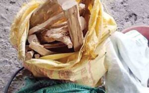 29-kg-sandalwood-caught-in-.jpg