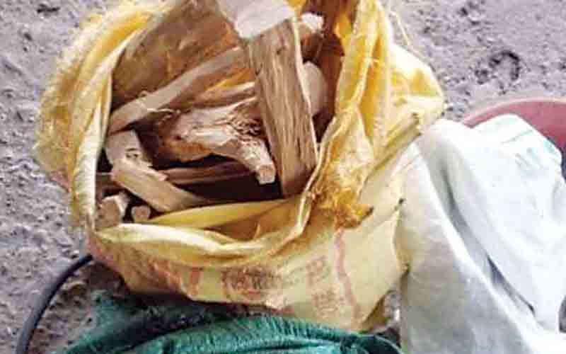 रक्कड़ गांव में पकड़ा 29 किलो चंदन, मामला दर्ज