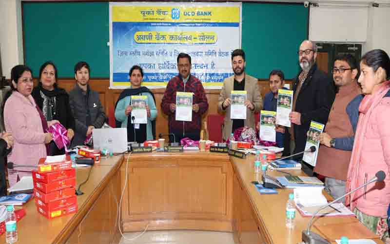 आर्थिकी को सुदृढ़ करने में बैंक निभा रहे सराहनीय भूमिका- डीसी