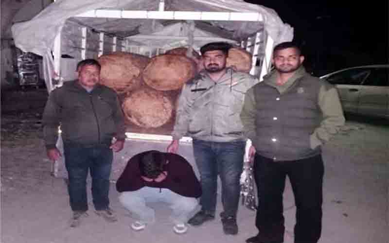 वन विभाग ने पकड़ी चीड़ की लकड़ी से भरी पिकअप, मामला दर्ज