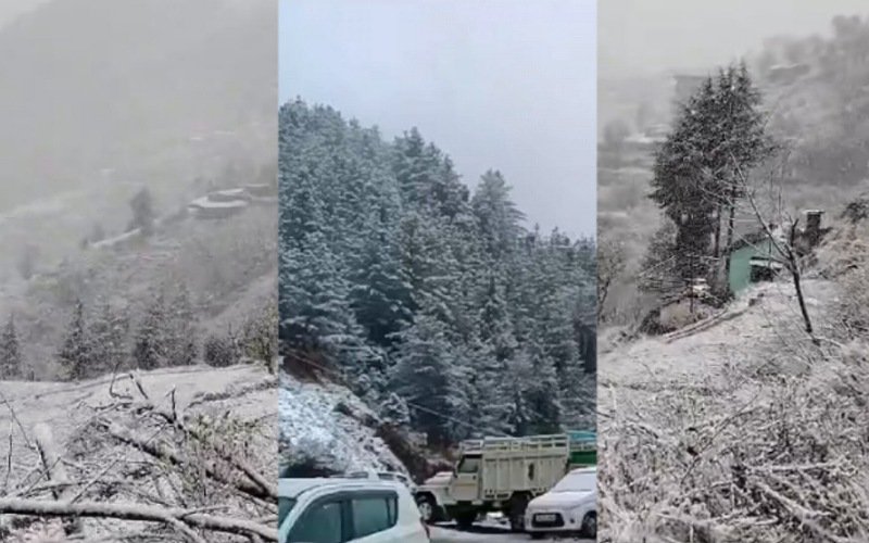 नौहराधार, हरिपुरधार व चूड़धार में हुई बर्फबारी, शीतलहर का बढ़ा प्रकोप