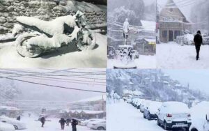 SNOW-1.jpg
