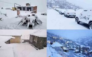 SNOW.jpg