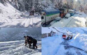 SNOWFALL-2.jpg