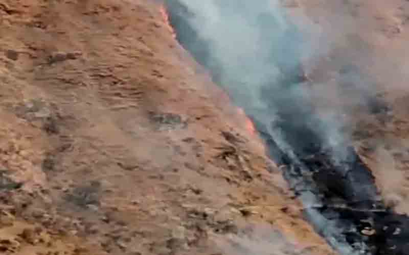 पेखड़ी के जंगल में भड़की आग, चार भेड़-बकरियां झुलसी