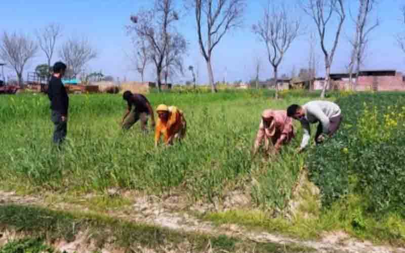 जायका परियोजना के तहत किसानों को वितरित किए जायेंगे टूलकिट