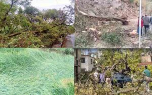 Devastation-caused-by-storm.jpg