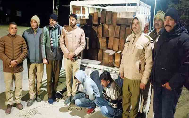 वन विभाग ने पकड़ी देवदार की लकड़ी से भरी जीप, 2 गिरफ्तार