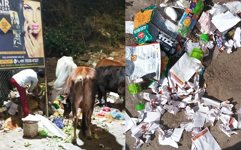 खुले में कचरा फैलाने पर नाहन नप की बड़ी कार्यवाही, 4750 रुपये के काटे चार चालान