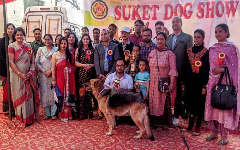राज्य स्तरीय नलवाड़ मेला सुंदरनगर में सुकेत डॉग शो का आयोजन