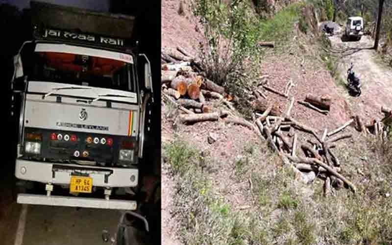 सराहां में पकड़ा अखरोट और चीड़ की लकड़ी से भरा ट्रक, मामला दर्ज