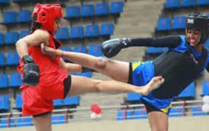 Wushu-Competition.jpg