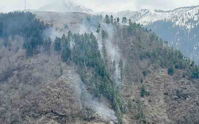 शरारती तत्वों ने देवीकोठी के पास जंगल में लगाई आग, लाखों की वन संपदा राख