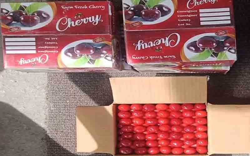 फल मंडी में चेरी की दस्तक, एक बॉक्स के इतने रुपए तक मिल रहे दाम….