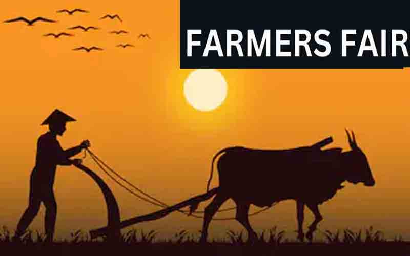 जिला स्तरीय किसान मेला पधर के लिए इस दिन होगा प्लॉट आवंटन….