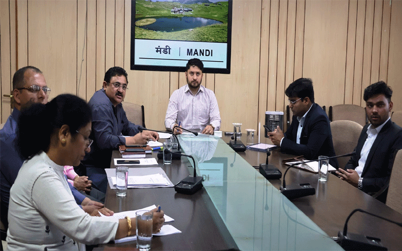 पोस्टल बैलेट से वोट देने के लिए स्थापित होंगे सुविधा केंद्र- डीसी