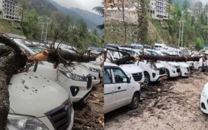 मनाली में देवदार का पेड़  धराशायी, कई गाड़ियां क्षतिग्रस्त, एक व्यक्ति जख्मी