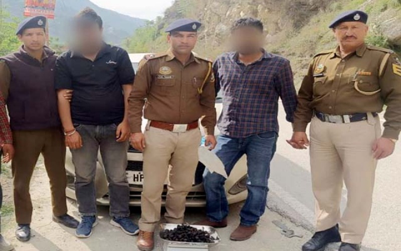 हिमाचल में चरस की बड़ी खेप सहित 2 तस्कर गिरफ्तार