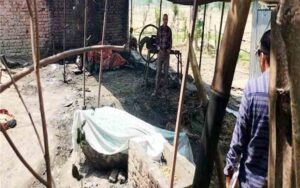 3-cattle-burnt-alive-in-cat.jpg
