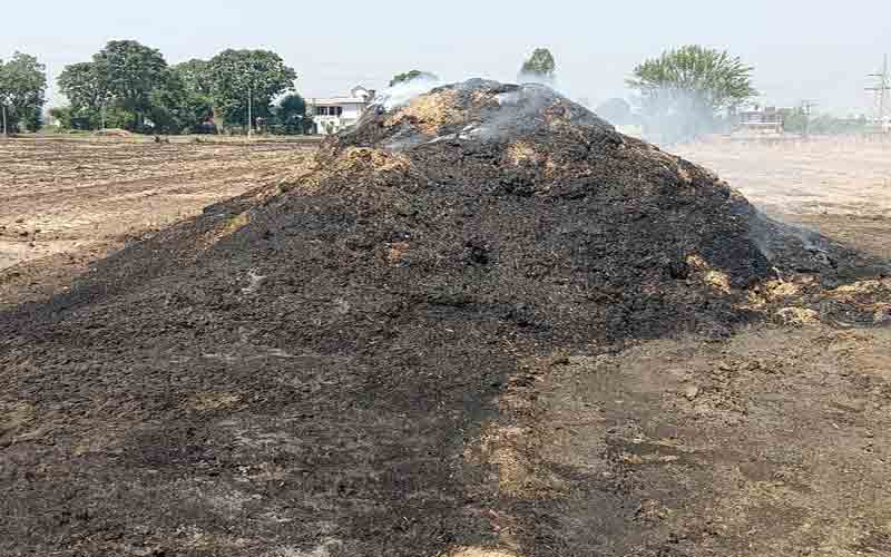 टकारला में 60 क्विंटल तूड़ी जलकर राख, करीब 50 हजार का नुक्सान