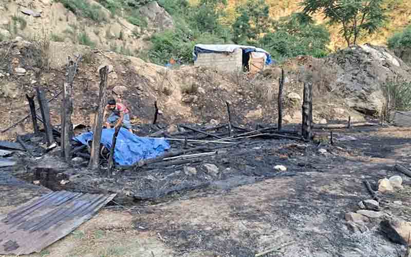 गोशाला में आग लगने से जिंदा जली भैंस, 3 अन्य मवेशी झुलसे