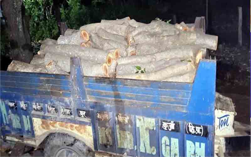 पांवटा साहिब में वन विभाग ने पकड़े अवैध लकड़ी से भरे 2 ट्रैक्टर