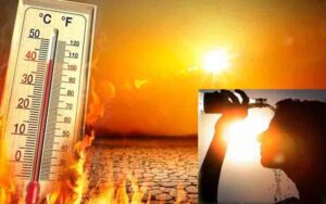 HEAT-WAVE-1.jpg