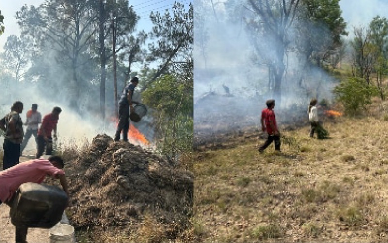 खरियलता पंचायत के वही व वडोआ के जंगलों में आग लगने से नजदीक लगते गांवों को हुआ खतरा