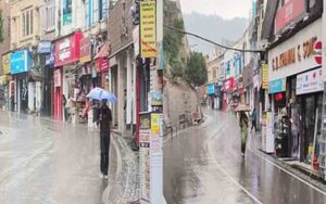 It-rained-in-Shimla-know-h.jpg
