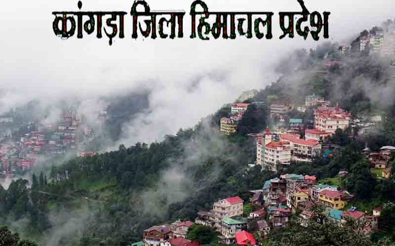 18-19 वर्ष आयु के युवाओं का पंजीकरण करने में कांगड़ा जिला सबसे आगे