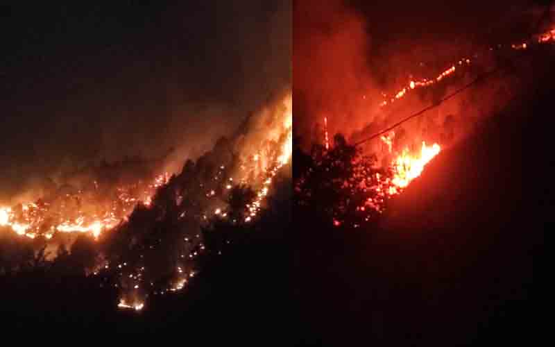 सैनधार क्षेत्र में आग का तांडव, लोगों ने रातभर लगाया पहरा, जंगल में कटी रात