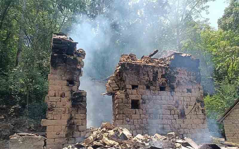 आग की भेंट चढ़ी पशुशाला, जिंदा जली दो गाभिन गाय