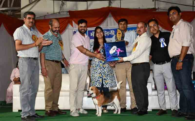 शूलिनी मेले में श्वॉन प्रदर्शनी का किया गया आयोजन