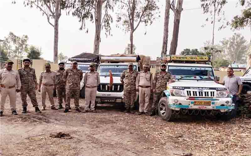 वन विभाग ने अवैध लड़की से भरे 12 वाहन किए जब्त
