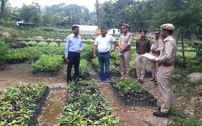 मुख्यमंत्री वन विस्तार योजना में जाइका लाएगा हरियाली