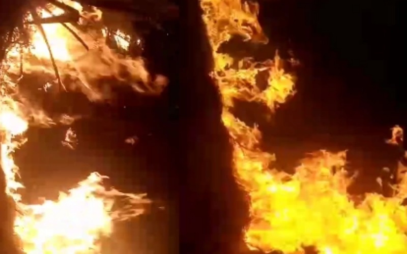 पड़ोसी द्वारा लगाई गई आग से लाखों की अखरोट की फसल स्वाह