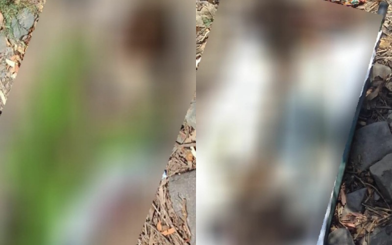 तालों भोला के जंगल से बरामद हुए युवक-युवती के शव की हुई शिनाख्त, यहां के थे रहने वाले…