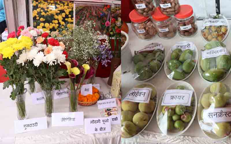 शूलिनी मेला में नौणी विश्वविद्यालय की प्रदर्शनी बनी आकर्षण का केंद्र