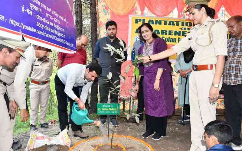 ग्राम पंचायत सेरी में पौधरोपण अभियान के दौरान 100 पौधे किए गए रोपित