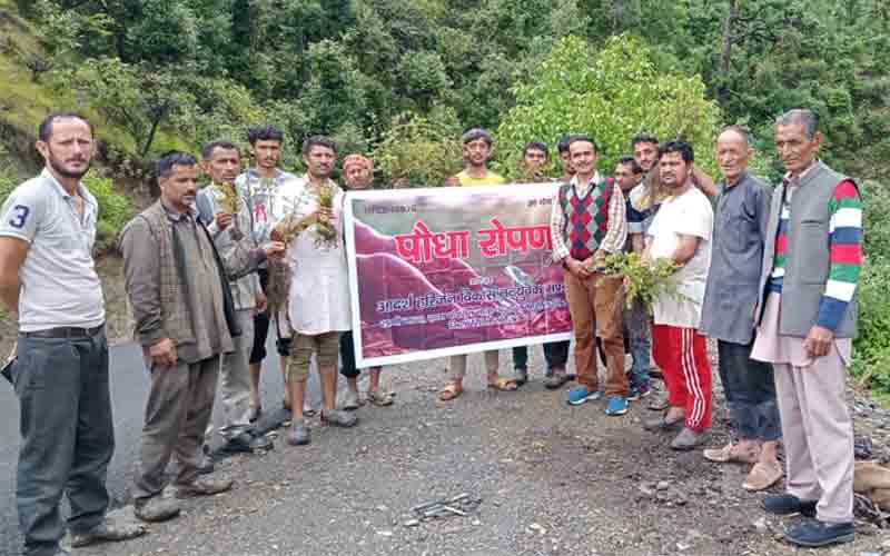 आदर्श हरिजन विकास नवयुवक मंडल लाणी ने रोपी हरियाली