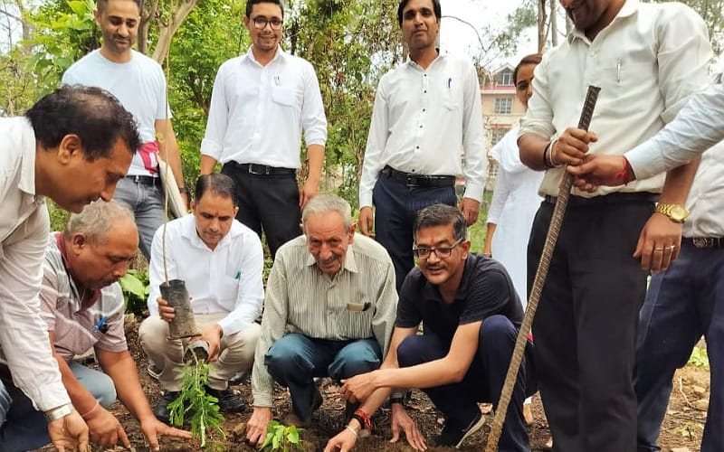 नाहन बार एसोसिएशन के युवा अधिवक्ताओं ने रोपे औषधीय पौधे