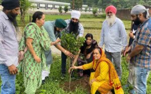 Dashmesh-Seva-Society-plant.jpg
