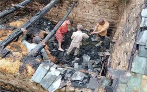 Lightning fell on cowshed, 4 cattle died